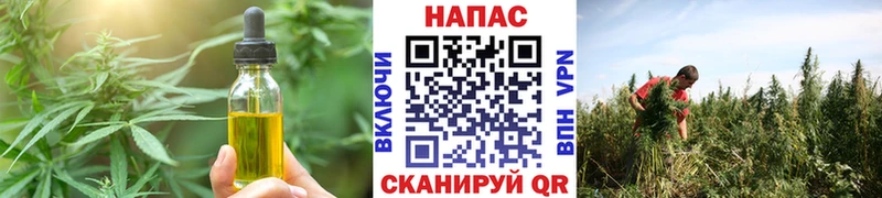 Cannafood конопля  Нестеровская 