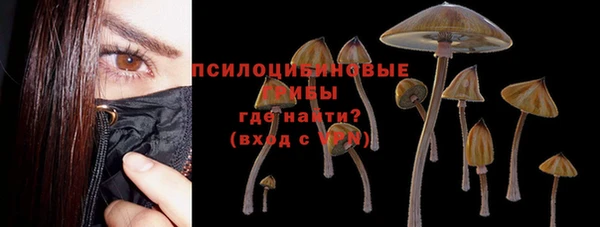 ГАЛЛЮЦИНОГЕННЫЕ ГРИБЫ Нефтекумск