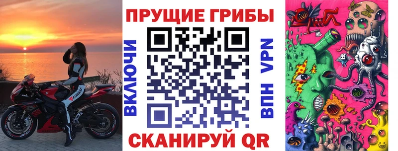 купить   Нестеровская  Псилоцибиновые грибы ЛСД 